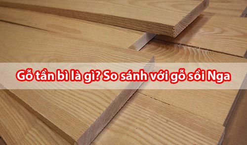 Gỗ tần bì là gì - Đặc điểm của gỗ ASH so với gỗ Sồi Nga