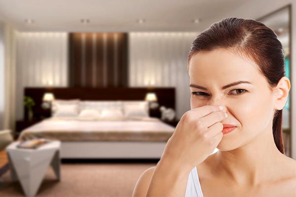 Các nguyên nhân khiến phòng ngủ bị hôi hoặc có mùi lạ